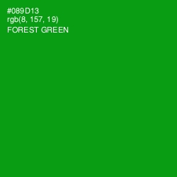 #089D13 - Forest Green Color Image